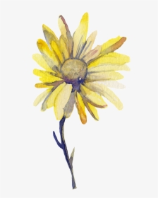 Yellow Sun Flower Transparent Decorative - Watercolour Yellow Flower Transparent Background, HD Png Download, Free Download