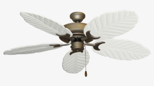 58 - Ceiling Fans With Transparent Background, HD Png Download, Free Download