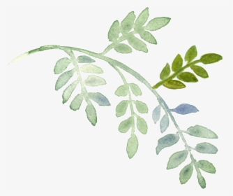 Watercolor Plant Painting Leaves Hand-painted Download - Plants Painting Png, Transparent Png, Free Download