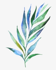 Watercolour Watercolor Plants, Watercolour, Plant Leaves, - Blue Watercolor Leaves Png, Transparent Png, Free Download