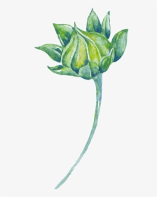 Green Watercolor Plant Cartoon Transparent, HD Png Download, Free Download