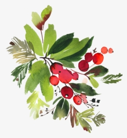 Snowman Watercolor Flowers Png - Watercolor Christmas Flowers Png, Transparent Png, Free Download