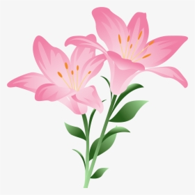 Pink Watercolor, Lilium, Clip Art, Art Prints, Pictures, - Pink Lily Clip Art, HD Png Download, Free Download