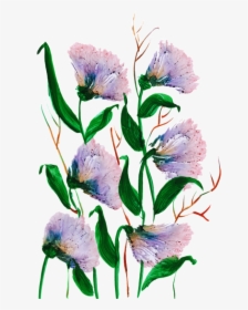 Iris, HD Png Download, Free Download