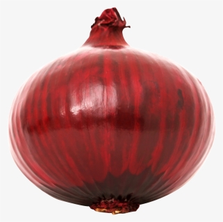 Download Red Onion Transparent Png 332 - Red Onions Png Transparent, Png Download, Free Download