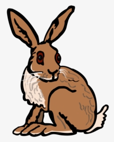 Animal, Bunny, Hare, Rabbit, School - Hare Clip Art, HD Png Download, Free Download