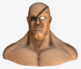 Transparent Sagat Png - Bust, Png Download, Free Download