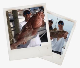 Grouper Fishing Charter In Ft Myers Florida - Pull Fish Out Of Water, HD Png Download, Free Download