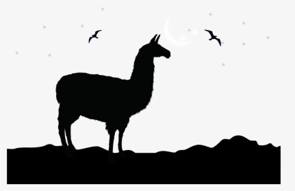 Svg Transparent Library Silhouette Clip Art At - Llama Silhouette, HD Png Download, Free Download