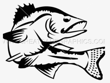 Black And White Walleye Clipart, HD Png Download, Free Download