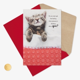 Kitten Sleeping Under Blanket Valentine"s Day Card - Squitten, HD Png Download, Free Download