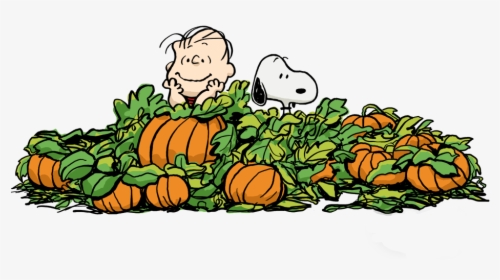 Pilgrims Cliparts Transparent Snoopy - Charlie Brown Halloween Clipart, HD Png Download, Free Download