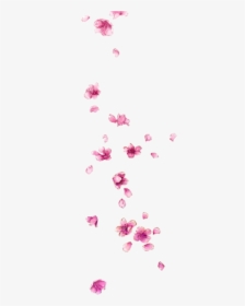 #ftestickers #flowers #petals #falling #pink - Flower Petals Falling Png, Transparent Png, Free Download