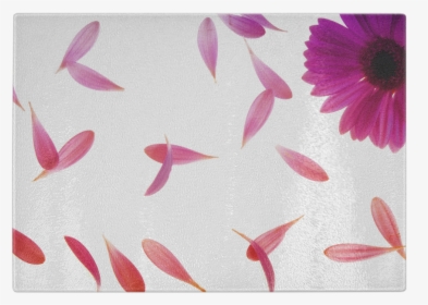 Flower Petals In Wind, HD Png Download, Free Download