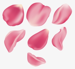 Rose Petals Png Images - Pink Rose Petal Png, Transparent Png, Free Download