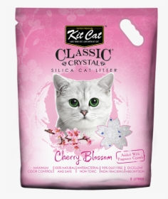 Cat Litter Kit Cat, HD Png Download, Free Download