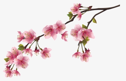 Peach Flower Cartoon Png, Transparent Png, Free Download