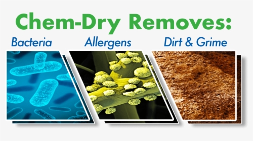 Hardwood Floor Cleaning Removes Bacteria, Allergens, - Ras El Hanout, HD Png Download, Free Download