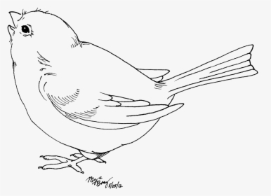 Bird Clipart Black And White, HD Png Download, Free Download