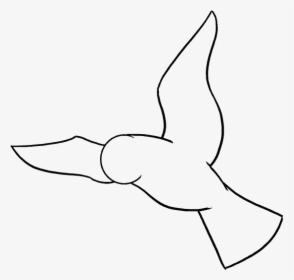Draw Birds Drawing Parrot Sketch - Drawings Of A Bird, HD Png Download, Free Download