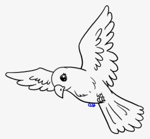 How To Draw Bird - Drawing Of Bird, HD Png Download, Free Download