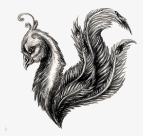Feather Drawing Sketch - Pencil Drawing Peacock Feather, HD Png Download, Free Download