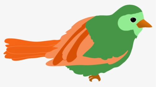 Green Colored Bird Drawing - Bird Kindergarten Clipart, HD Png Download, Free Download