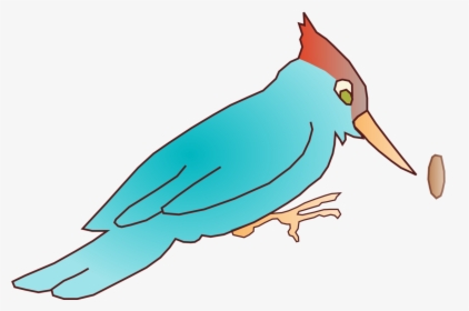 Woody Woodpecker Bird Drawing Download - Woodpecker Clip Art, HD Png Download, Free Download