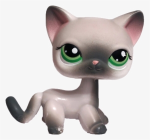 #lps #lpscat #cat #littlestpetshop #littlestpetshopcat - Littlest Pet Shop #125, HD Png Download, Free Download