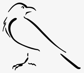 Crow Drawing Outline, HD Png Download, Free Download