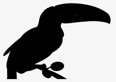Bird, Drawing, Illustration, Transparent Png Image - Clipart Bill Of A Bird, Png Download, Free Download