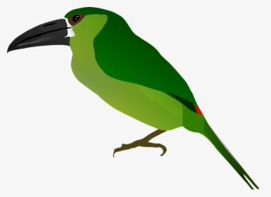 Animal, Bird, Drawing, Nature - ภาพ วาด สัตว์ นก, HD Png Download, Free Download