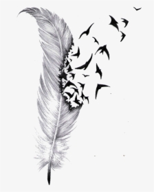 Tattoo Feather Drawing Bird Cover-up Download Hq Png - Feather With Birds Tattoo Design, Transparent Png, Free Download