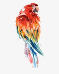 Parrot Watercolor Painting Bird Drawing Art - Bird Drawing With Watercolor, HD Png Download, Free Download