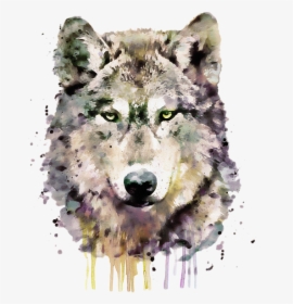 Watercolor Wolf Art Print, HD Png Download, Free Download