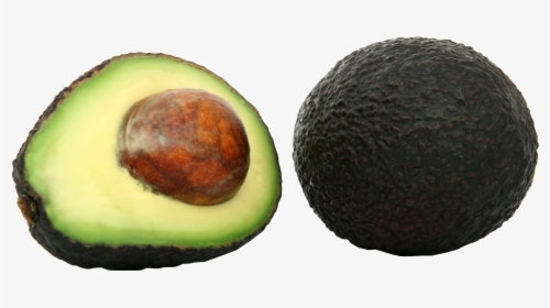 Avocado Png, Transparent Png, Free Download