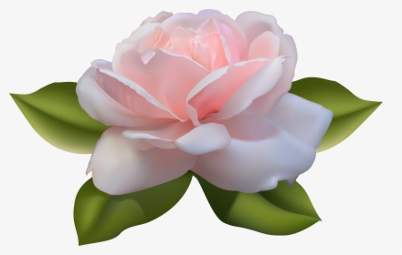 Lotus Clipart Beautiful - Pink Rose With Leaves, HD Png Download, Free Download