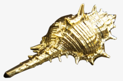 Gold Sea Shell Png, Transparent Png, Free Download