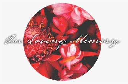 Transparent In Loving Memory Png - Artificial Flower, Png Download, Free Download