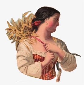 Transparent Autumn Clip Art - Woman Harvesting, HD Png Download, Free Download
