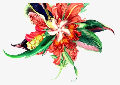 Bouquet - Lily Family, HD Png Download, Free Download