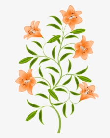 Free Png Download Orange Lily Png Images Background - Tiger Lily Flower Art, Transparent Png, Free Download