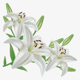 Lily Icon Symbol - Easter Lilies Clip Art, HD Png Download, Free Download