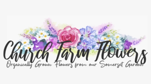 Church Farm Flowers - Viola, HD Png Download, Free Download