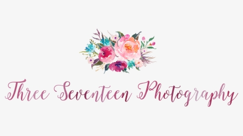 Three Seventeen Photography - Calligraphy, HD Png Download, Free Download