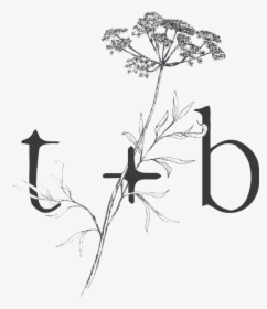 Twig And Briar Submark Gray - Silhouette, HD Png Download, Free Download