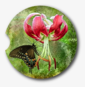 Butterfly On Tiger Lily, HD Png Download, Free Download