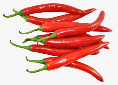 Malagueta Pepper,bird"s Eye Chili,serrano Pepper,chili - Chili Png, Transparent Png, Free Download