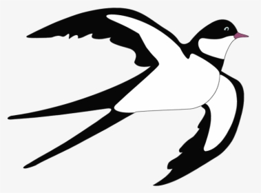 Tree Swallow Bird Clip Art - Swallow Clipart, HD Png Download, Free Download