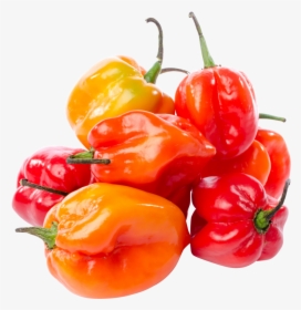 Habanero Peppers, HD Png Download, Free Download